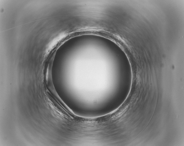 X0000086951406200704231414