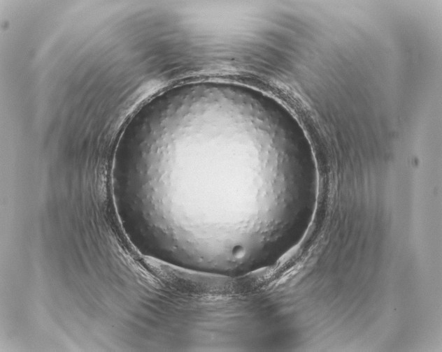X0000086951409200704231414