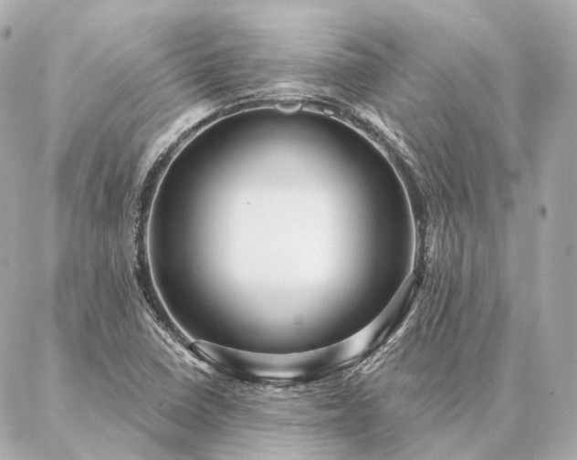 X0000086951410200704231414