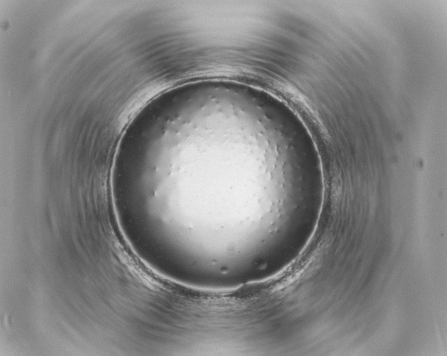 X0000086951417200704231414