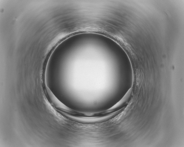 X0000086951422200704231414