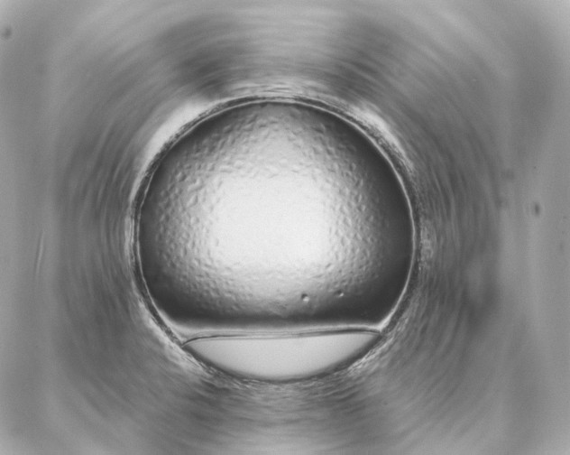 X0000086951424200704231414