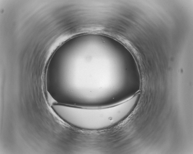 X0000086951432200704231414