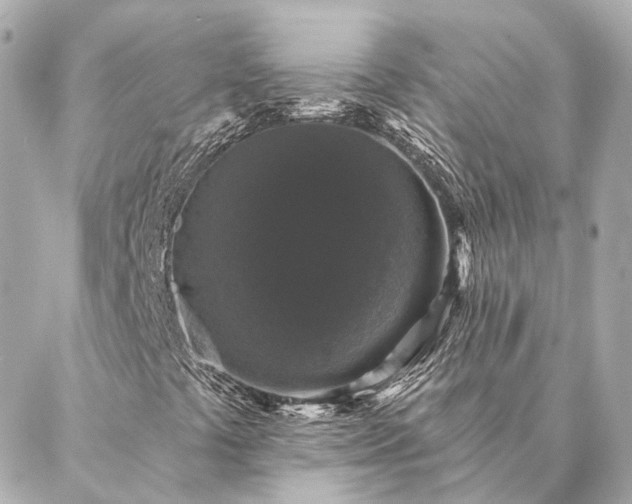 X0000086951441200704231414