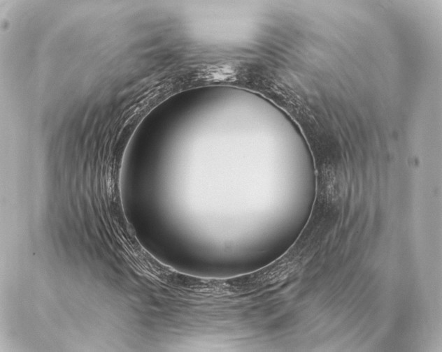 X0000086951442200704231414