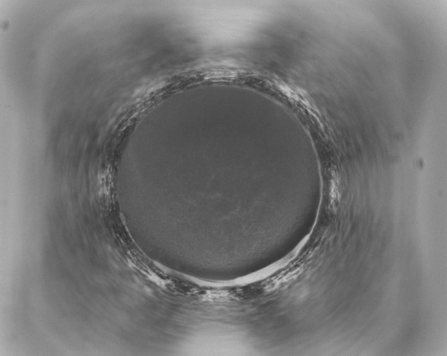 X0000086951445200704231414