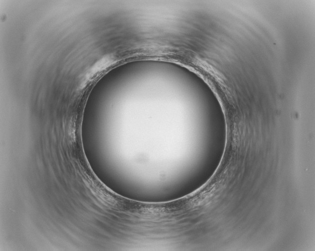 X0000086951451200704231413