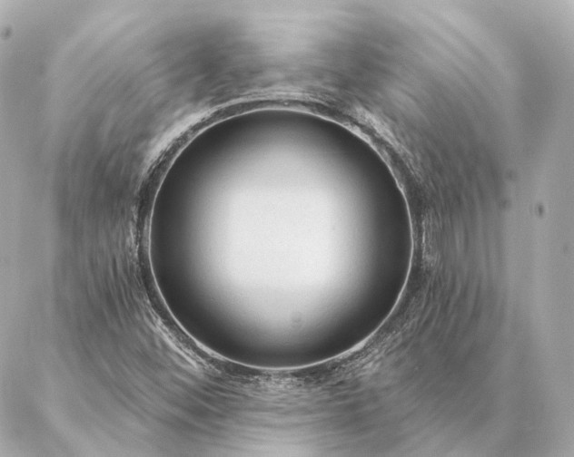 X0000086951452200704231413