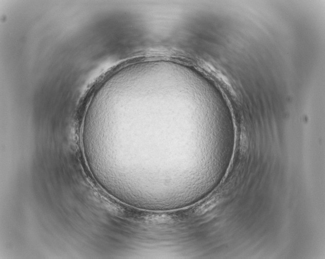 X0000086951454200704231413