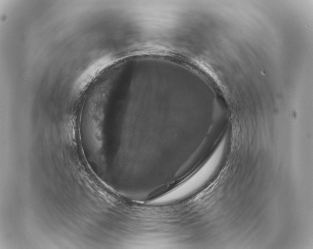 X0000086951455200704231413