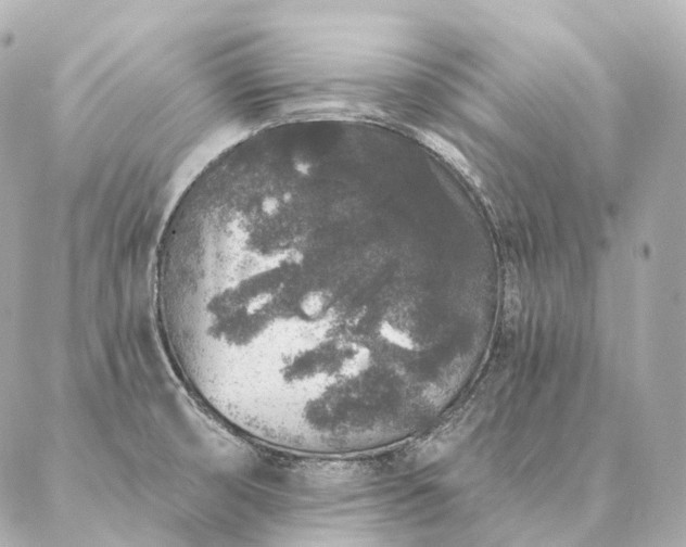 X0000086951474200704231413
