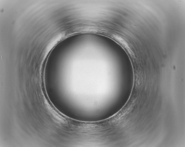 X0000086951475200704231413