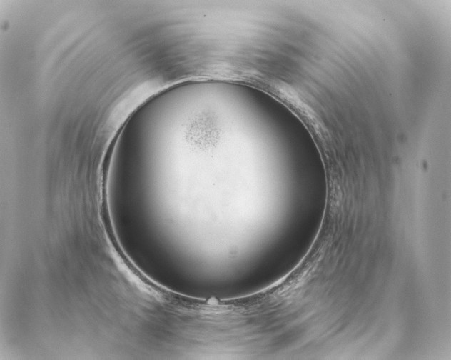 X0000086951479200704231413