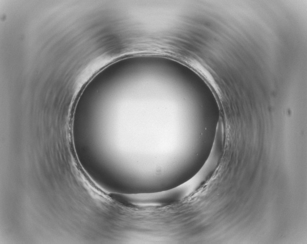 X0000086951485200704231413