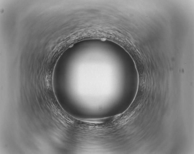 X0000086951490200704231412