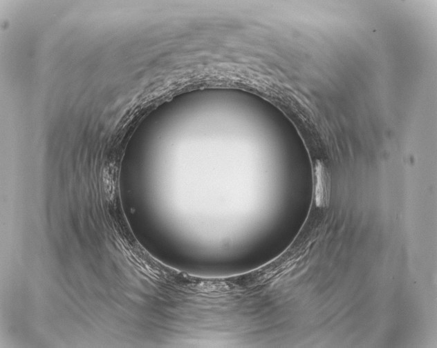 X0000086951491200704231412