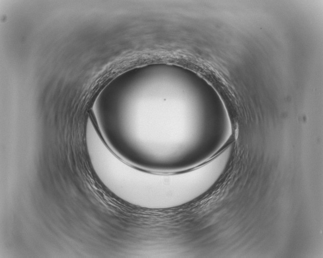 X0000086951492200704231412