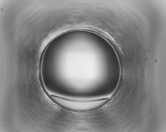 X0000086951512200704231412