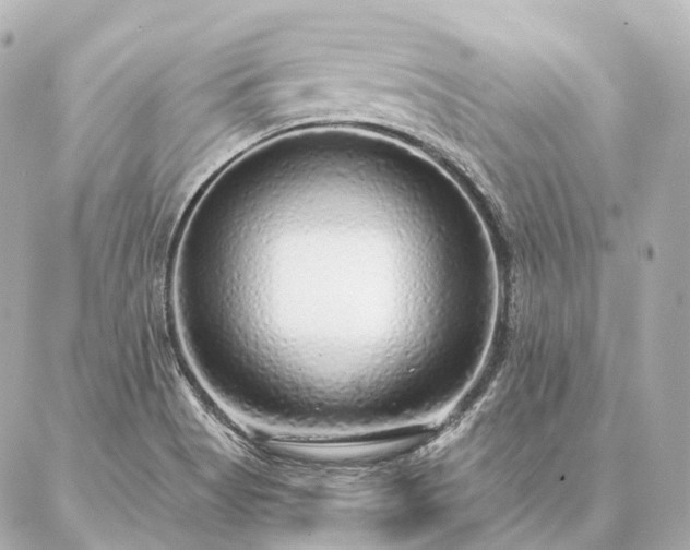 X0000086951513200704231412