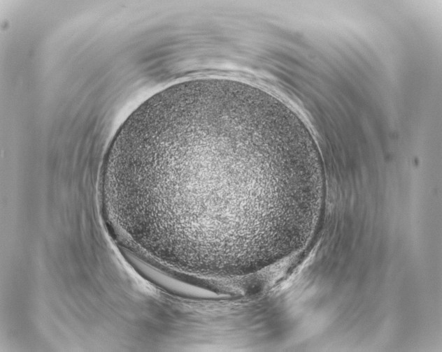 X0000086951533200704231413