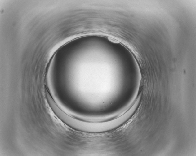 X0000086951534200704231413