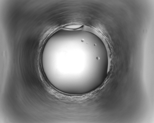 X0000086950001200704301227