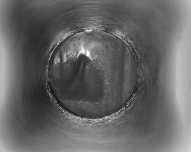 X0000086950002200704301227