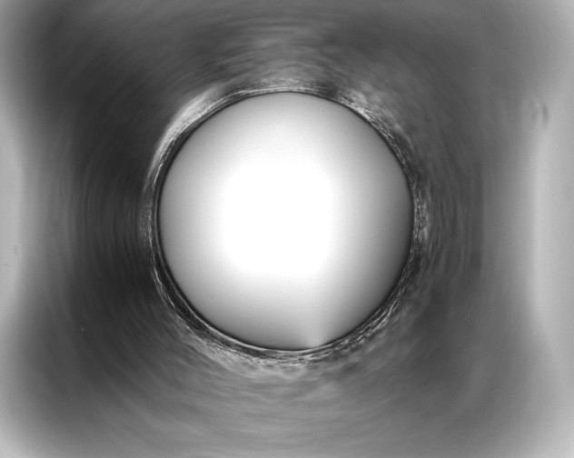 X0000086950004200704301227