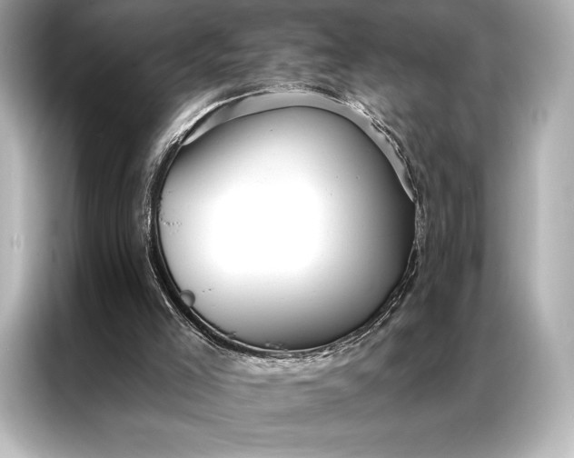 X0000086950005200704301227