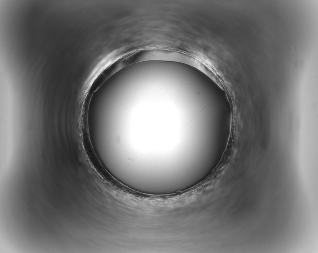 X0000086950007200704301227