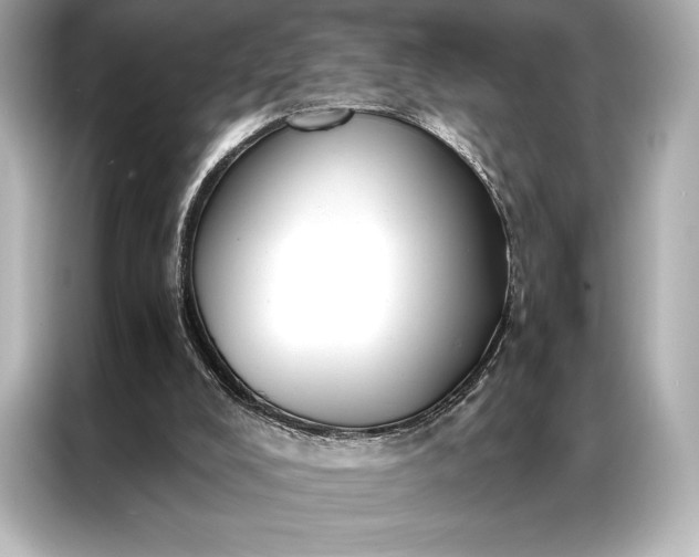 X0000086950008200704301227