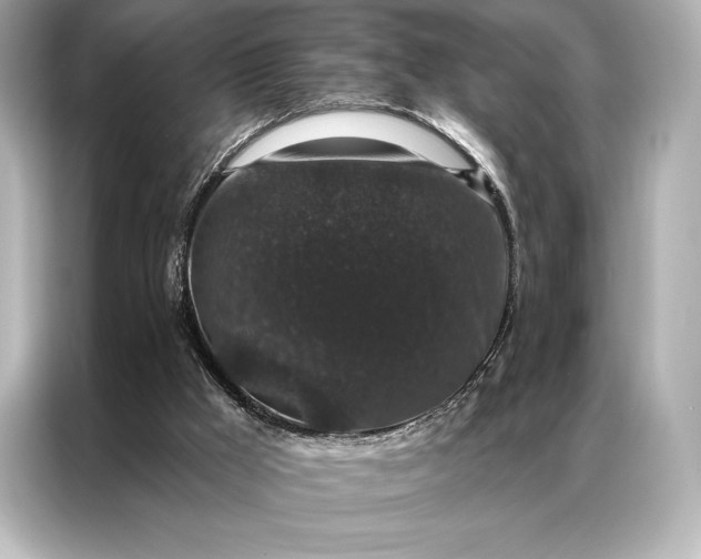 X0000086950009200704301227