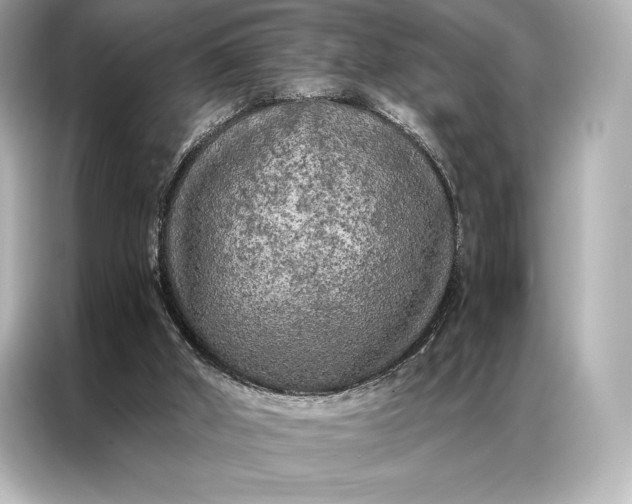 X0000086950010200704301227