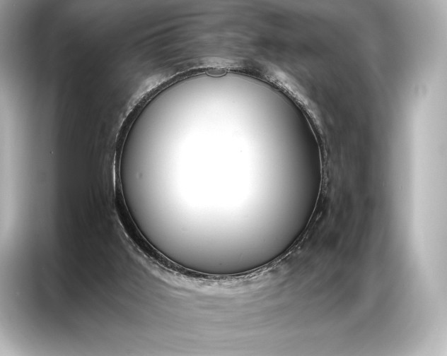 X0000086950011200704301227