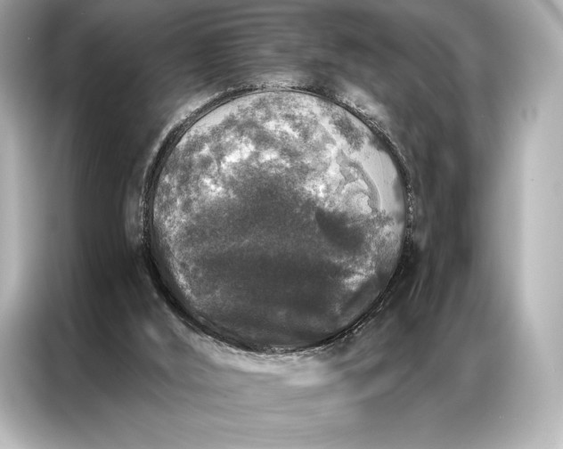 X0000086950012200704301227