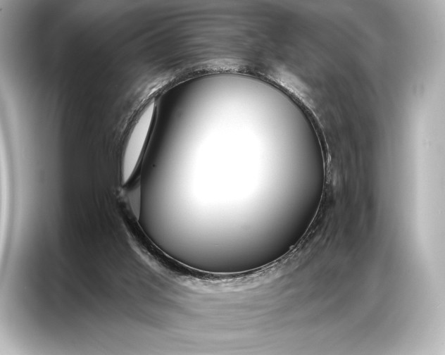 X0000086950013200704301227