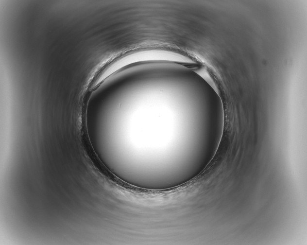 X0000086950015200704301227