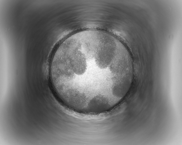 X0000086950016200704301227