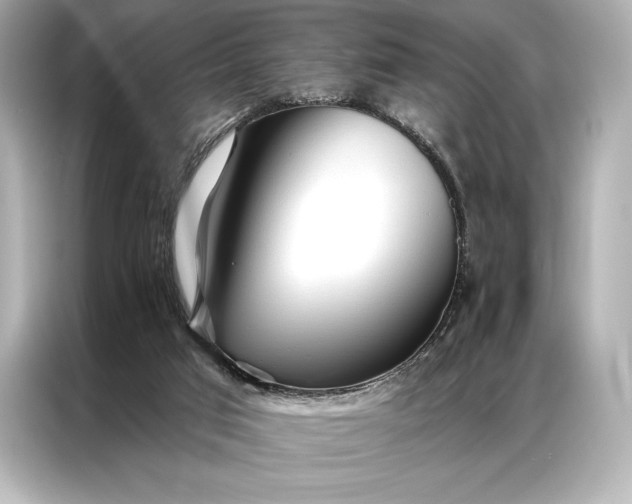 X0000086950017200704301227