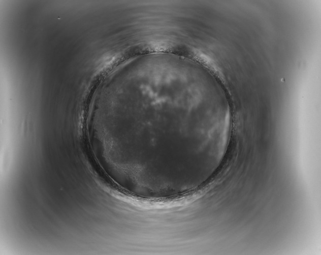 X0000086950018200704301227