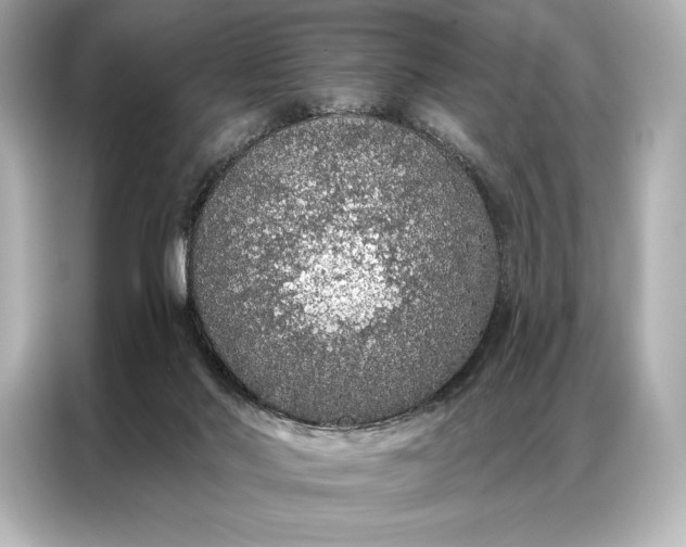 X0000086950022200704301227