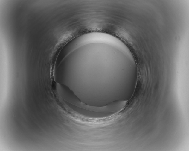 X0000086950023200704301226