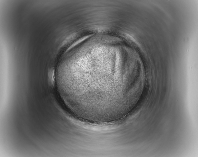 X0000086950024200704301226