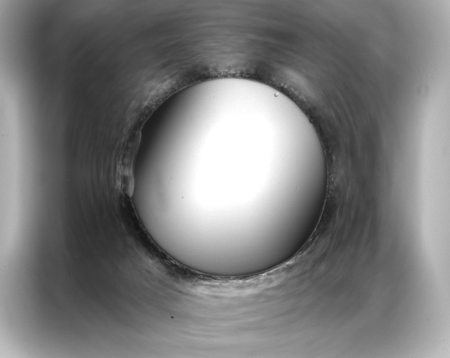 X0000086950025200704301226