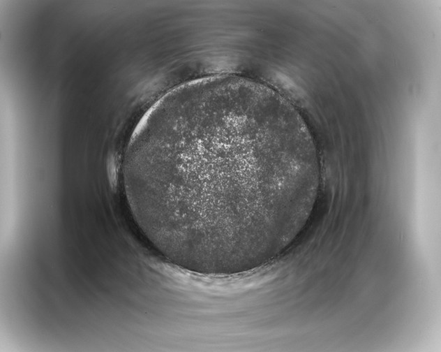 X0000086950026200704301226