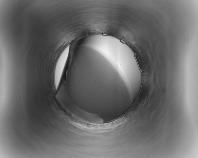 X0000086950027200704301226