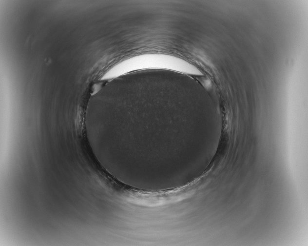 X0000086950029200704301226