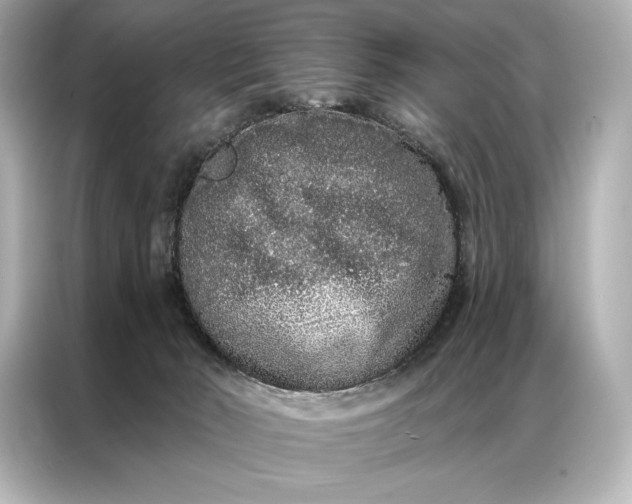 X0000086950030200704301226