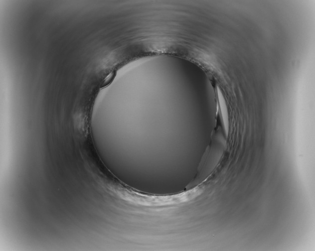 X0000086950031200704301226