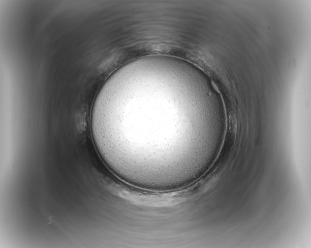 X0000086950032200704301226